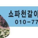 쇼파천갈이