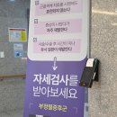 대구 한방병원 달서구 자세검사부터 운동치료까지 받아본 후기