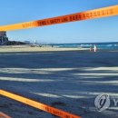 도로감시 이미지