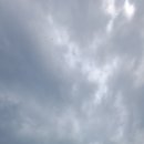하이퐁