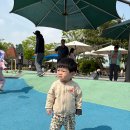 5살 아이랑 다녀온 김포 태산패밀리파크 가족공원 후기｜서울 근교 무료 나들이 장소 추천!