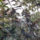 메가마트 옆 이미지