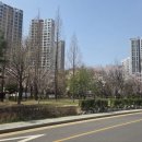 자이더파크부동산중개 이미지