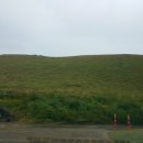 (주)엔젤렌트카 이미지