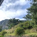 더블에이치렌트카 - 고양시 일산동구 고일로 132-1 | 제주도 분위기좋은카페 원앤온리 솔직후기 [ 일산타투스튜디오 Double H Studio ]