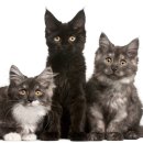 베이동물병원 이미지