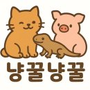 냥꿀냥꿀 이미지