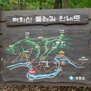 백화산 933m [영동] '23.6.25 이미지