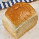 식빵이네 이미지