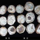 최고농약사 이미지