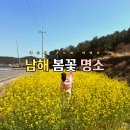 왕지등대마을 | 남해 유채꽃 숨은 명소 왕지 마을에서 만나는 봄 여행