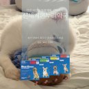 신세계온누리약국 이미지