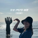 호미곶전통찰보리빵 | 포항 가볼만한곳 BEST 12! 뚜벅이 1박2일 여행 코스 후기