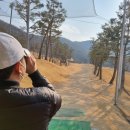 에버리오골프클럽 | 경산 에버리오, 대구근교 파3 골프연습장 후기