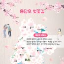 용담면 벚꽃길 이미지