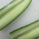 참치블루스 이미지
