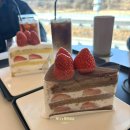 43 | 여주 대형카페 바하리야 쌀케이크 디저트 맛집 추천 내돈내산 후기(주차가능)