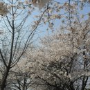 영복여자고등학교 이미지