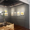 카페그림 이미지