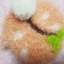 (주)들레네