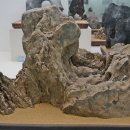 덕소자연사박물관 이미지