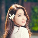 선해어