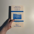 스테이 소로 이미지