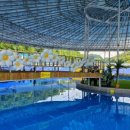 자유로 레저 이미지