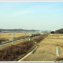 주라위삼거리 네이버블로그
