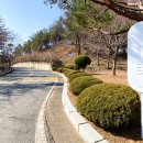 미룡 이미지