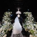 웨스턴베니비스 이미지