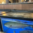 (주)바다출동 | [서울 일상 기록] 11월 첫째 주 브이로그 : 을지로 방어 먹방 후기