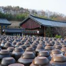 양지촌식당 이미지