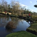 카멜리아힐 이미지