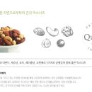 크센디자인