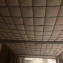 [백패커스 후기 2] 더 하이브 호스텔(The Hive Hostel) : 퍼스 워홀