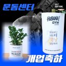 리부트짐(Reboot gym) | 2026 새해다짐 운동센터 다이어트 피티샵 개업 축하 화분