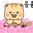 눈뜨면바다 이미지