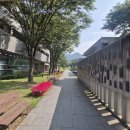 만해사 | 만해마을(만해문학박물관, 북카페 깃듸읠나무)| 주차, 볼거리 [인제 가볼만한곳]