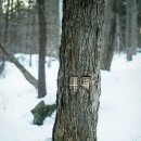 나무아래집 이미지