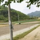 옥성농장 이미지