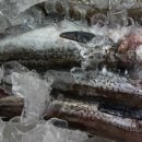 현대포목 이미지