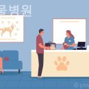 진영동물병원 이미지