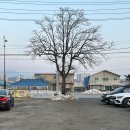 용암식당 이미지