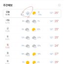 글로벌부동산중개 이미지