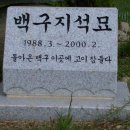 진도컴퓨터