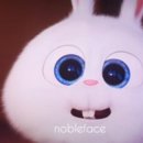 쇼미더펫 이미지