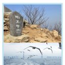 [모집중]10월1~2일 한국의 갈라파고스 굴업도-덕적도 출발 이미지