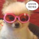 개박살난 인생에도 환율 여행지 등극📍 NYC 뉴욕 여행