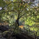 남산공원 시민공원관리사무소 | “서울 도심 한복판에 이런 곳이? 새로 생긴 남산 숲길, 뒤돌아보는 순간 감탄 나와요”